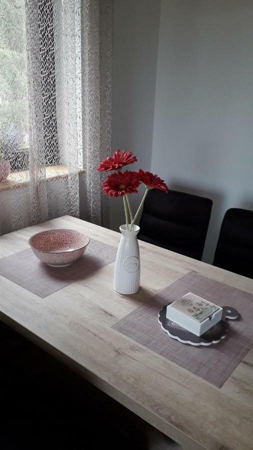 Apartman Nana Svetogorska 19 ,Stan 17 Златибор Экстерьер фото