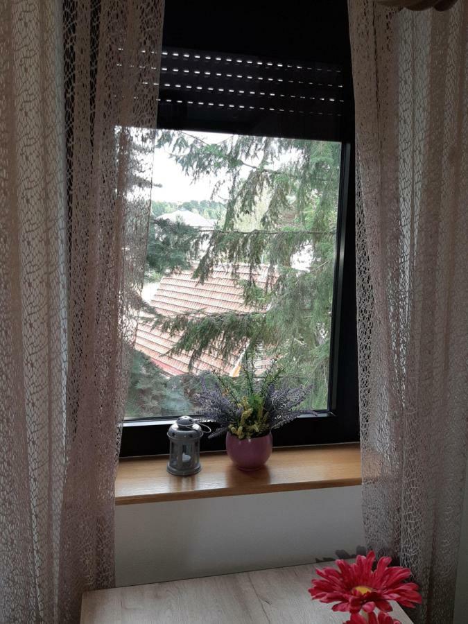 Apartman Nana Svetogorska 19 ,Stan 17 Златибор Экстерьер фото